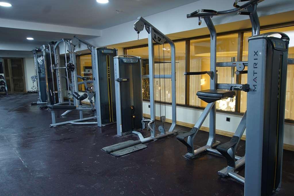 Best Western Premier Dynasty 아디스아바바 시설 사진