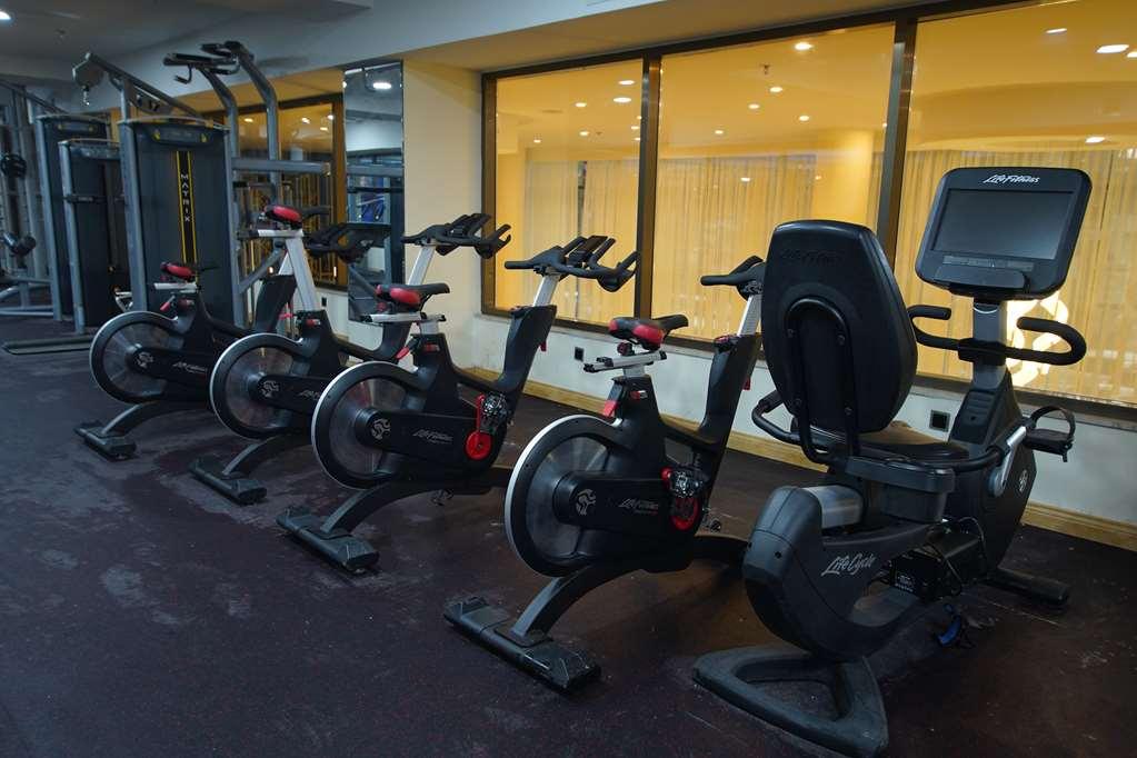 Best Western Premier Dynasty 아디스아바바 시설 사진